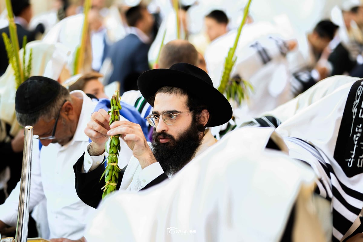 ברכת כהנים תשפ"ה