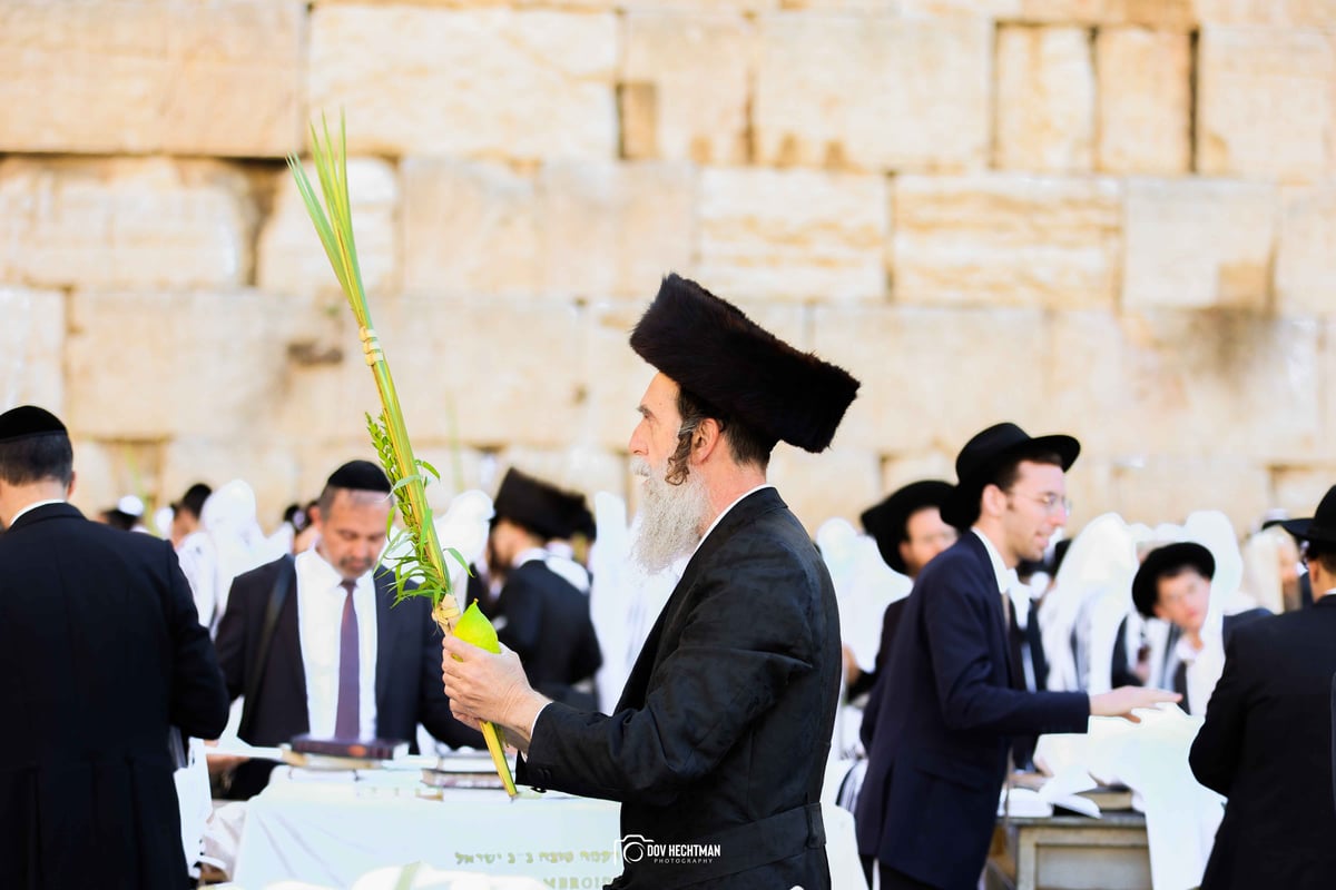 ברכת כהנים תשפ"ה