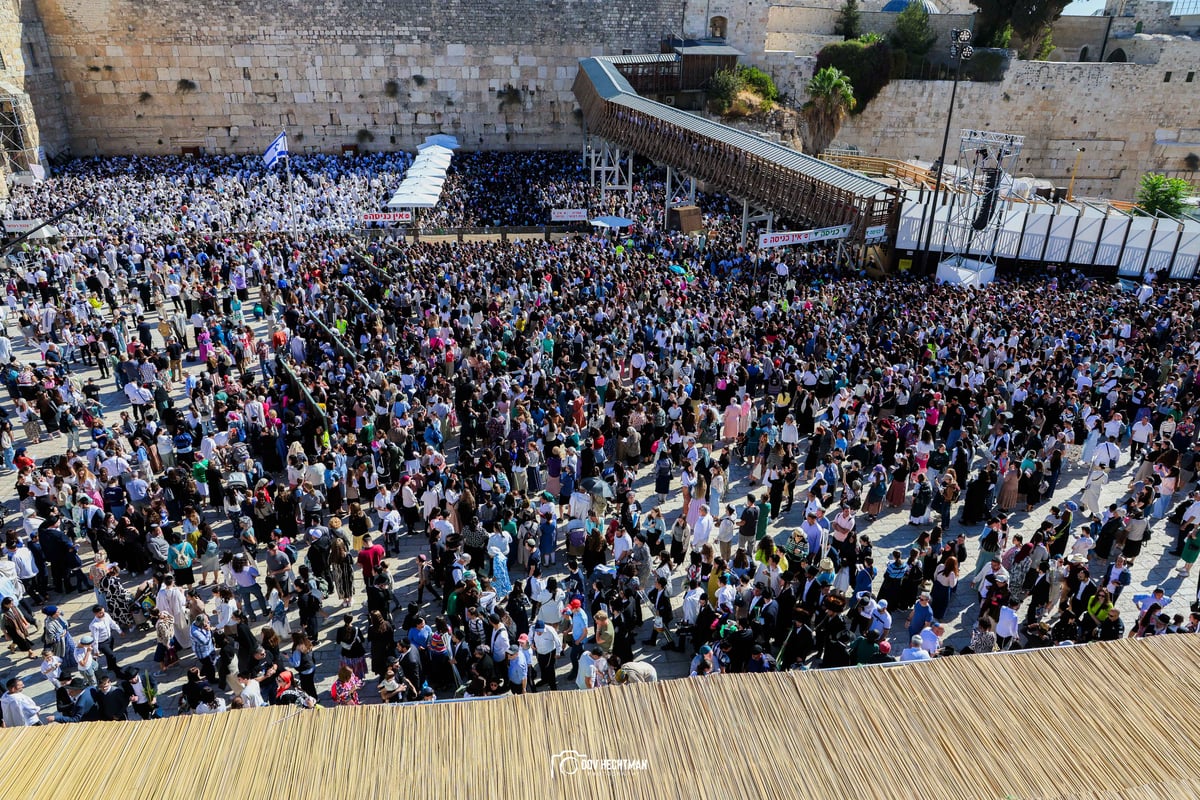 ברכת כהנים תשפ"ה