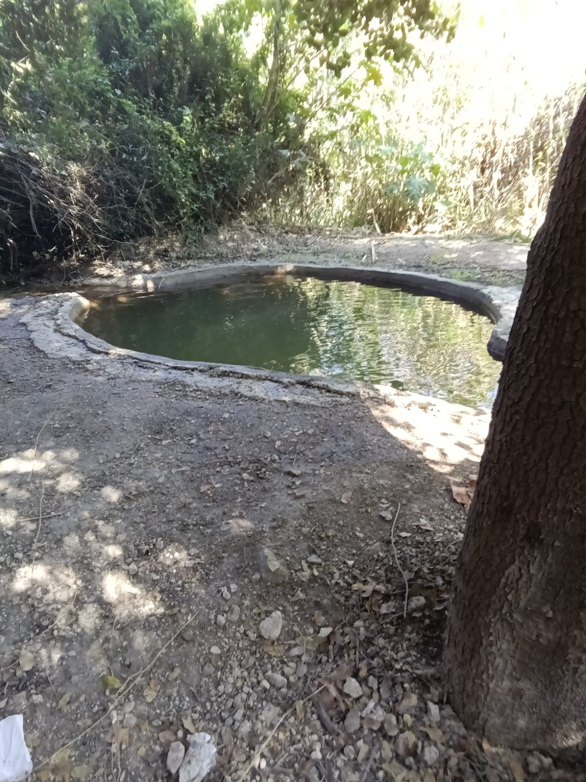 מעין השמחה ע"ש יהודה בכר הי"ד ליד בית שמש