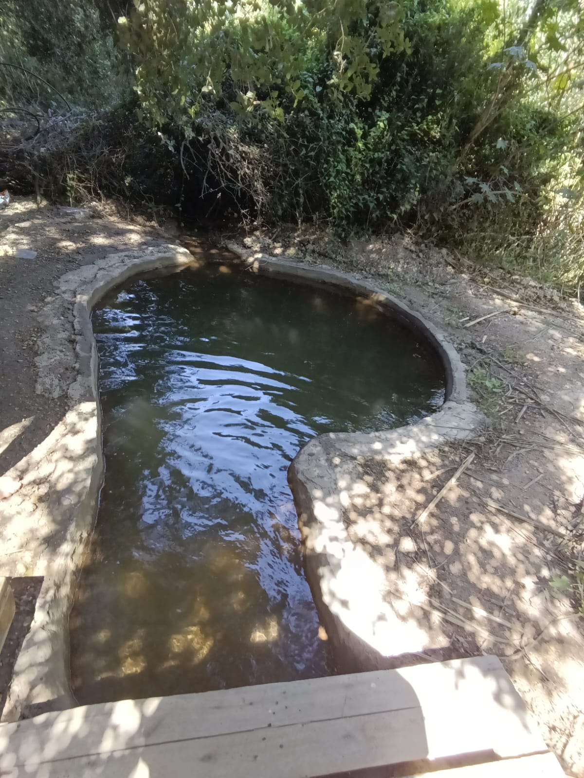 מעין השמחה ע"ש יהודה בכר הי"ד ליד בית שמש