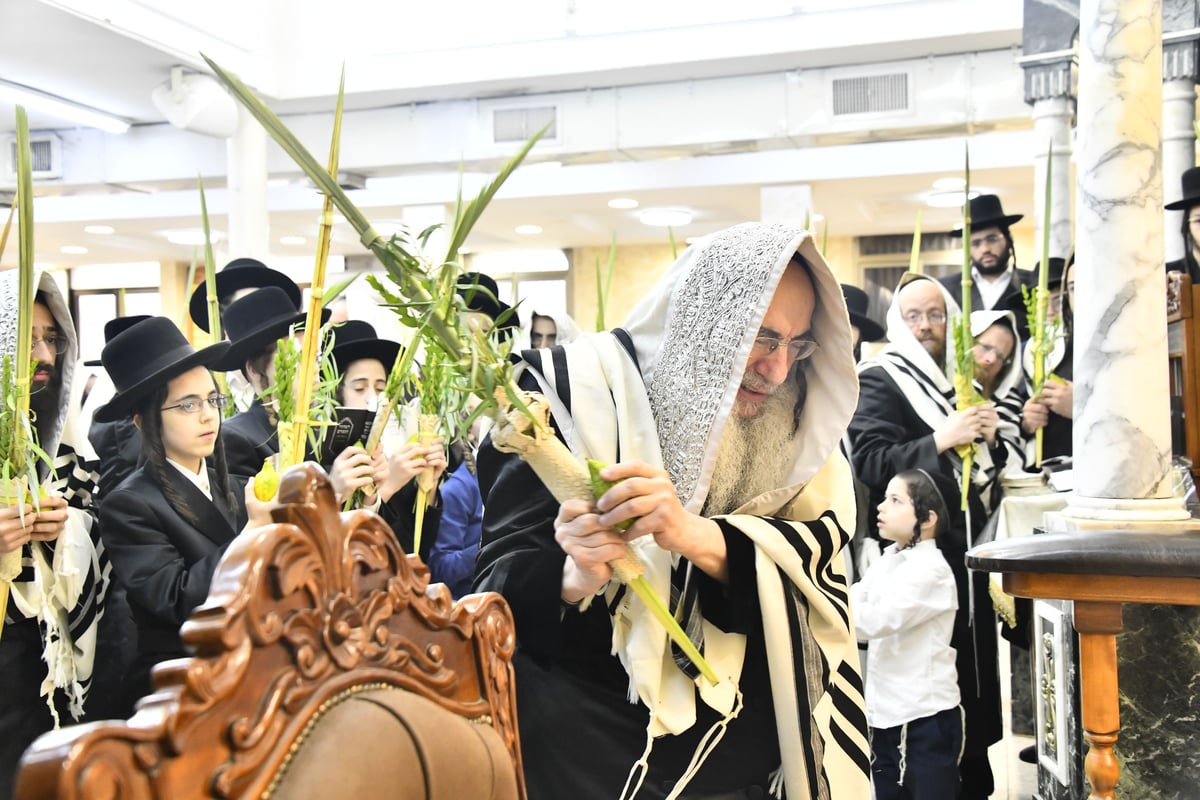 האדמו"ר מאלכסנדר בנטילת ארבעת המינים 