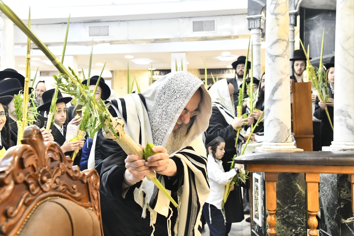 האדמו"ר מאלכסנדר בנטילת ארבעת המינים 