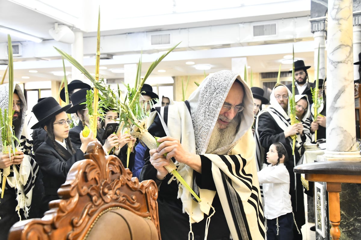 האדמו"ר מאלכסנדר בנטילת ארבעת המינים 