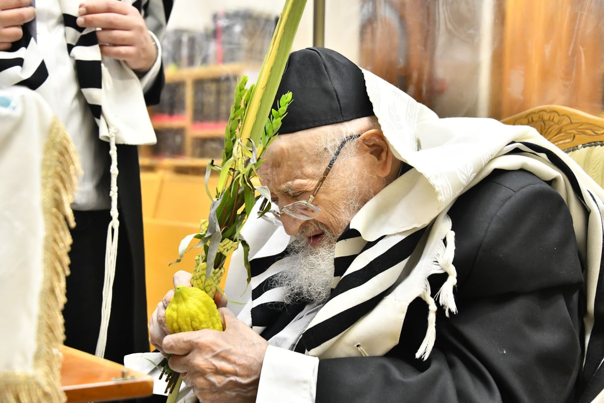 הגאון רבי מאיר צבי ברגמן בנטילת לולב 