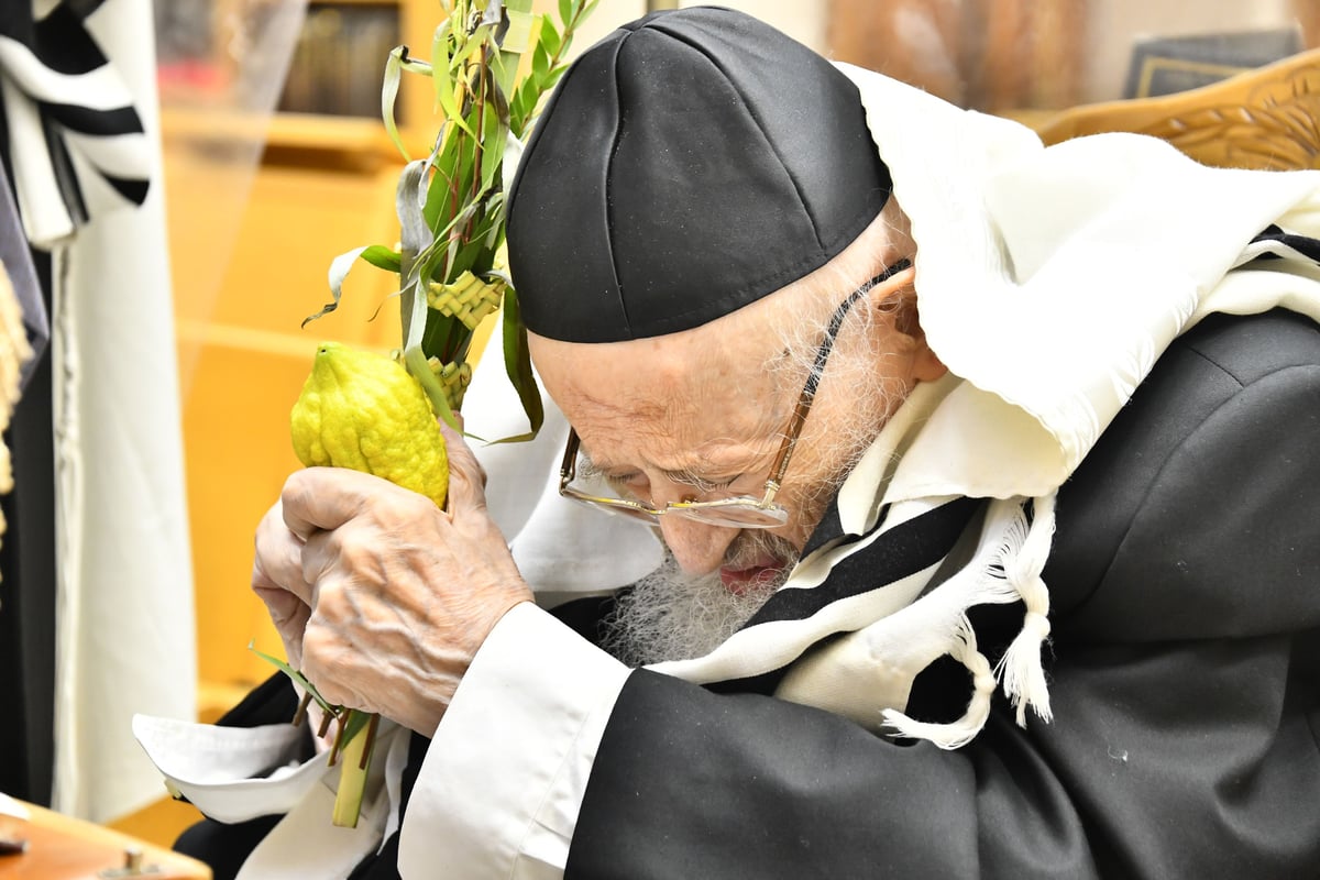 הגאון רבי מאיר צבי ברגמן בנטילת לולב 