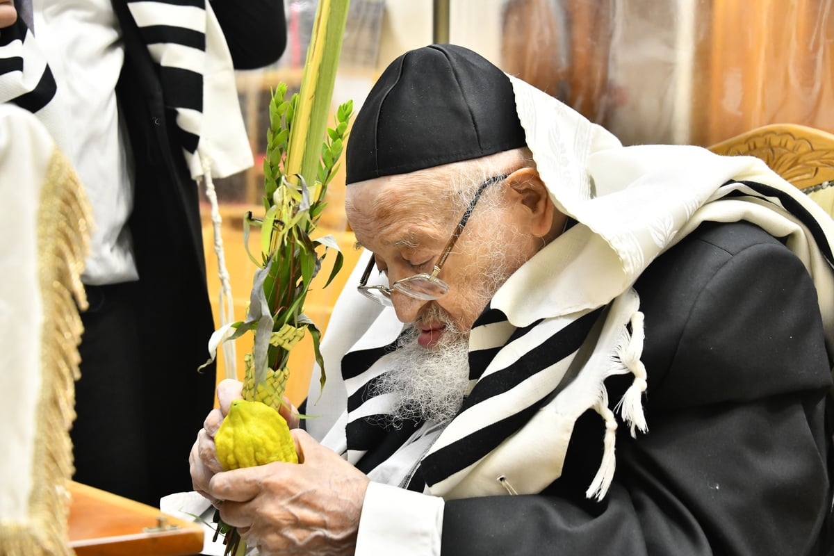 הגאון רבי מאיר צבי ברגמן בנטילת לולב 