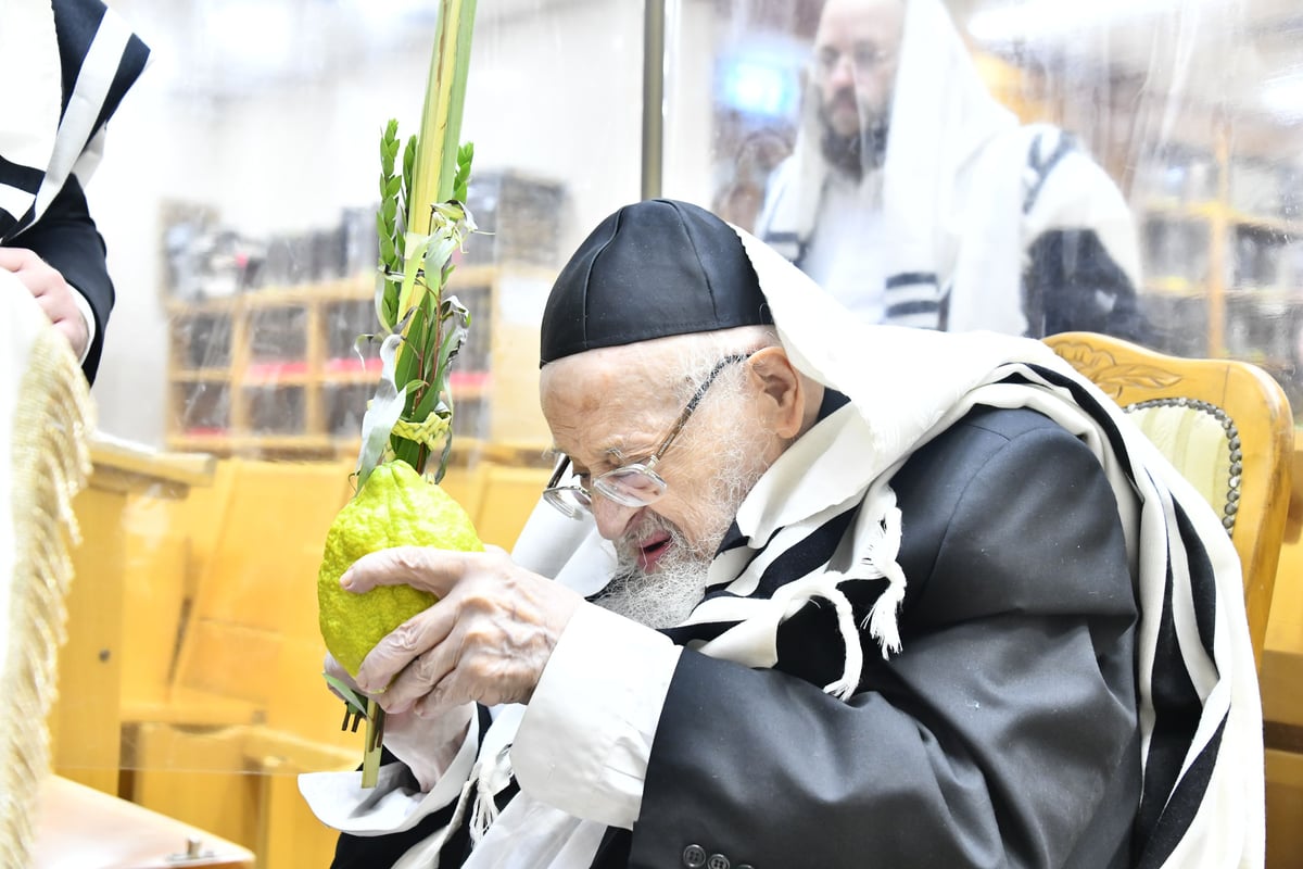 הגאון רבי מאיר צבי ברגמן בנטילת לולב 