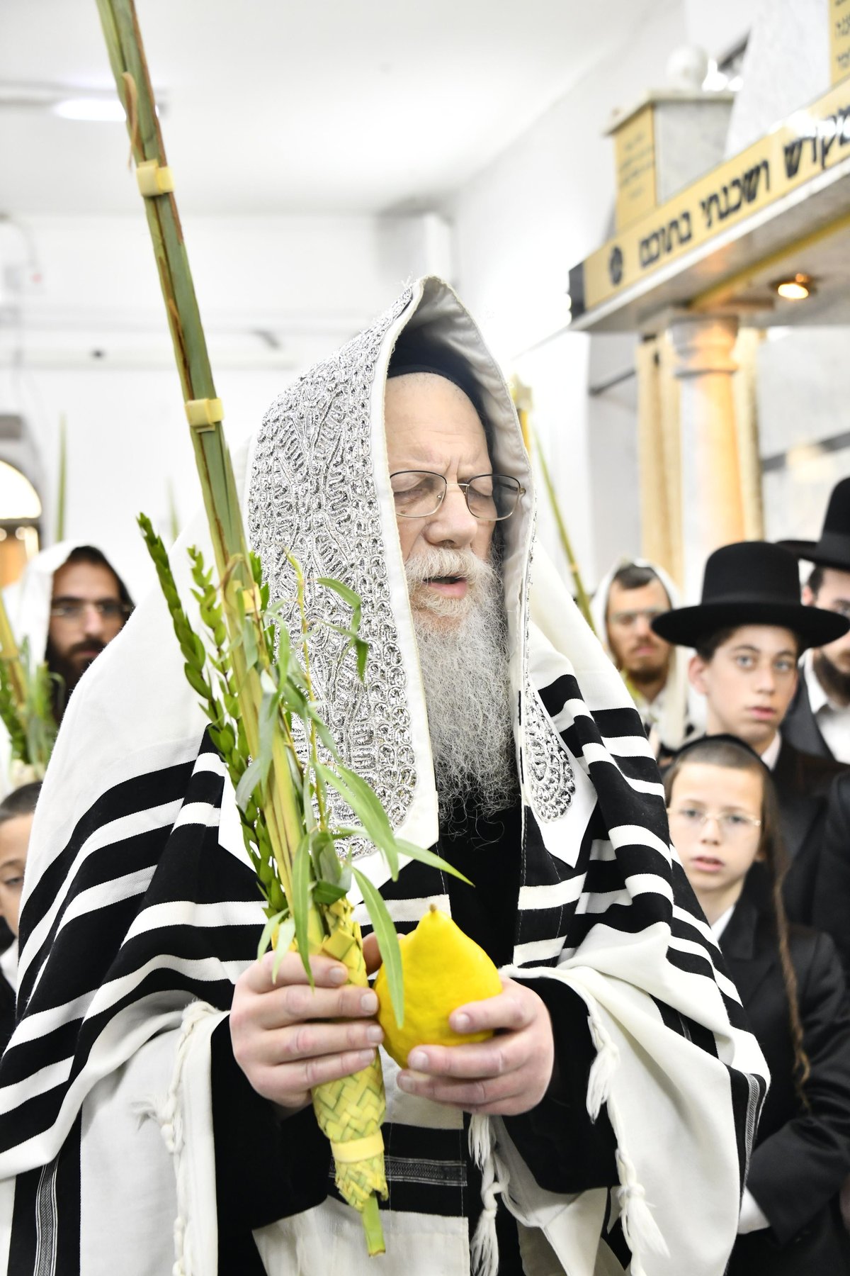 האדמו"ר ממודז'יץ בנטילת לולב 