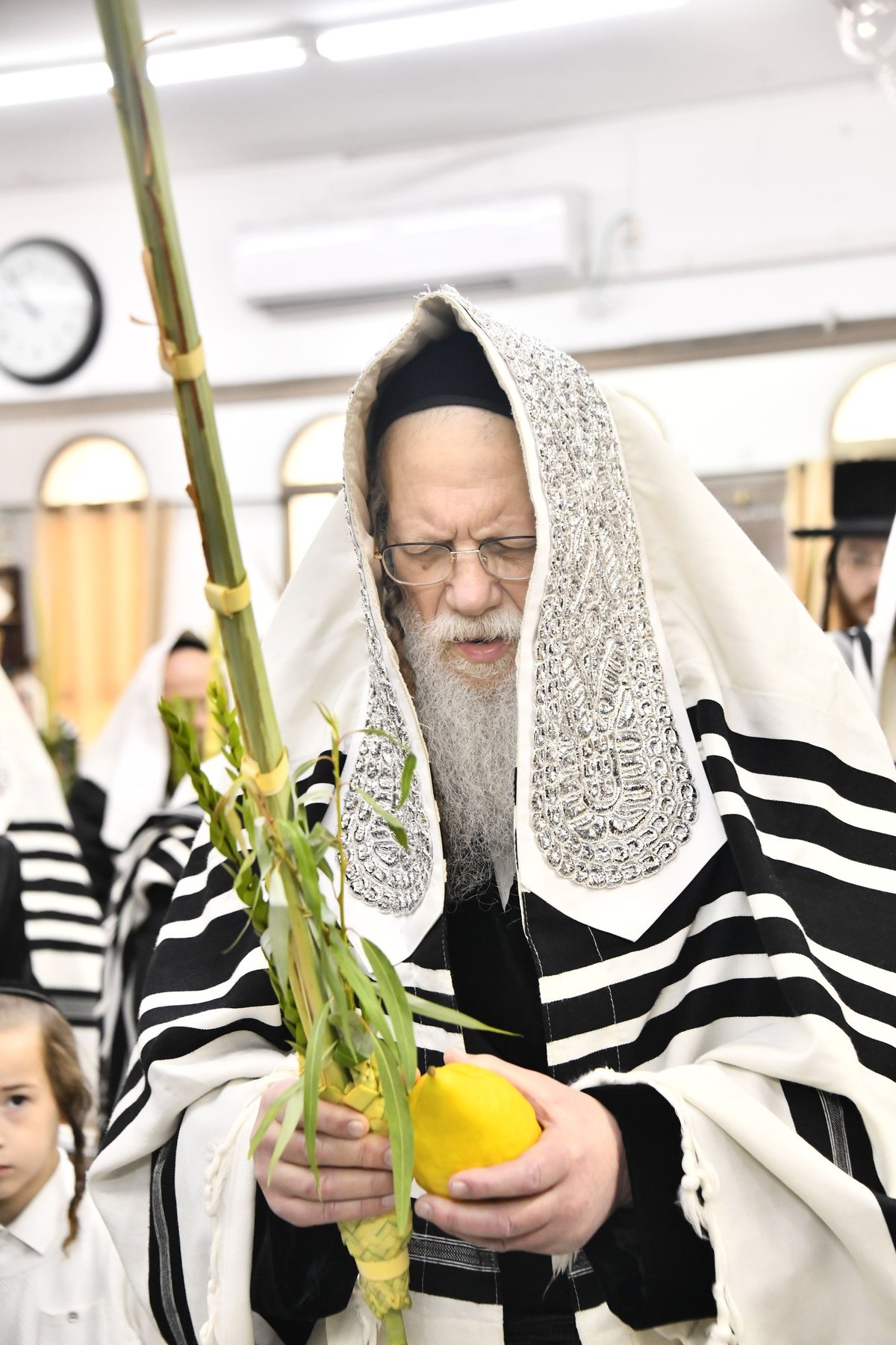 האדמו"ר ממודז'יץ בנטילת לולב 