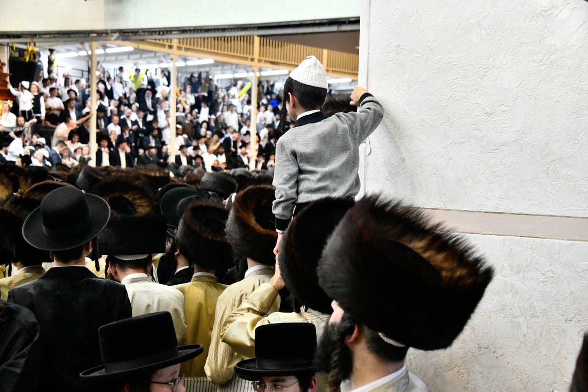 שמחת בית השואבה בחצה"ק תולדות אהרן 