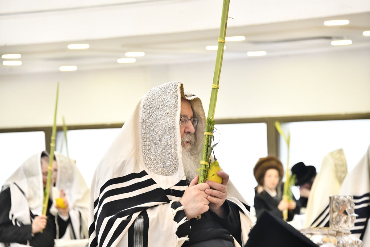 האדמו"ר מנדבורנה בנענועים בחג הסוכות 