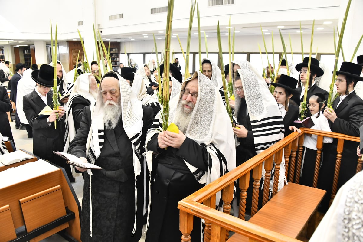 האדמו"ר מנדבורנה בנענועים בחג הסוכות 