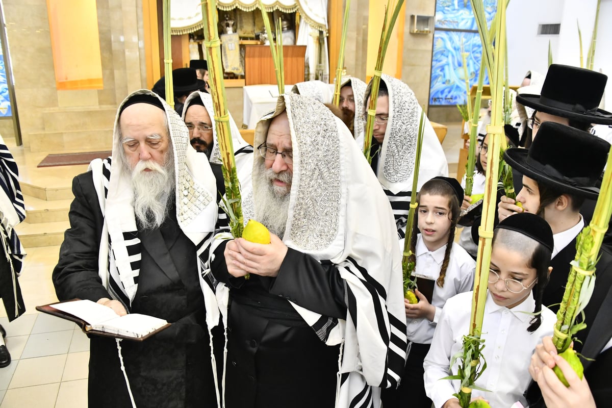 האדמו"ר מנדבורנה בנענועים בחג הסוכות 