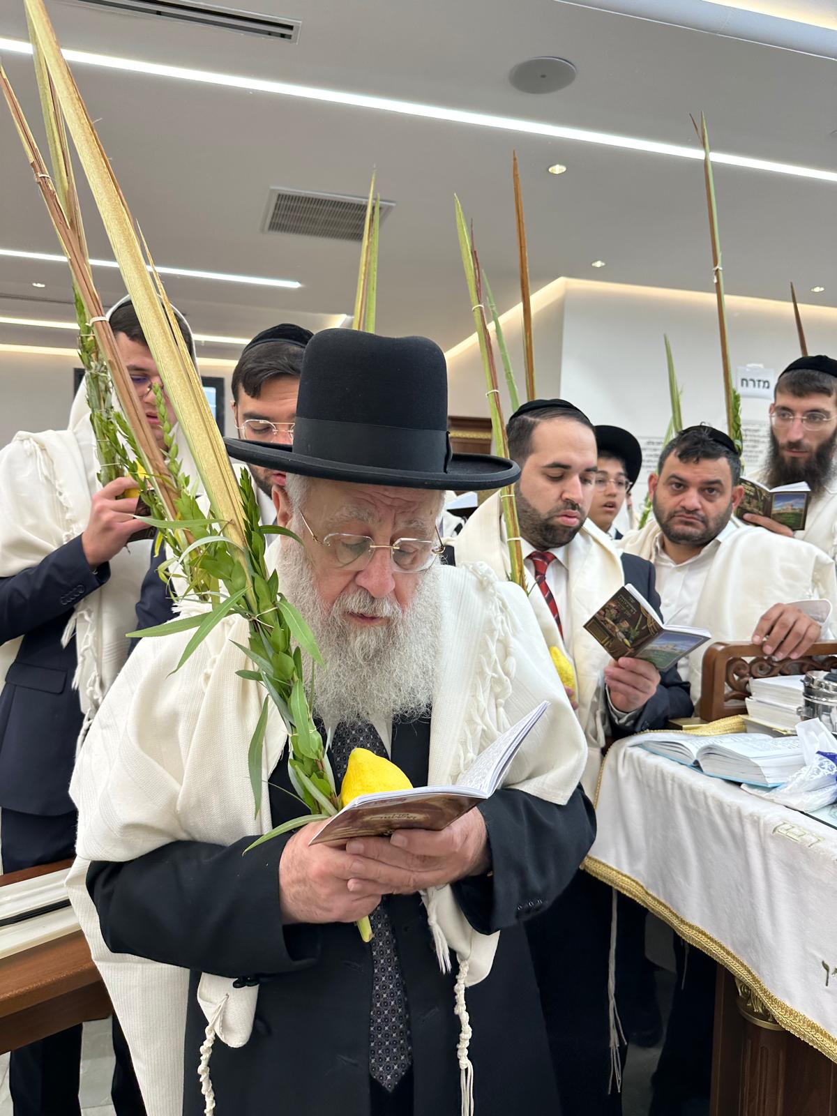 נטילת לולב בבית מדרשו