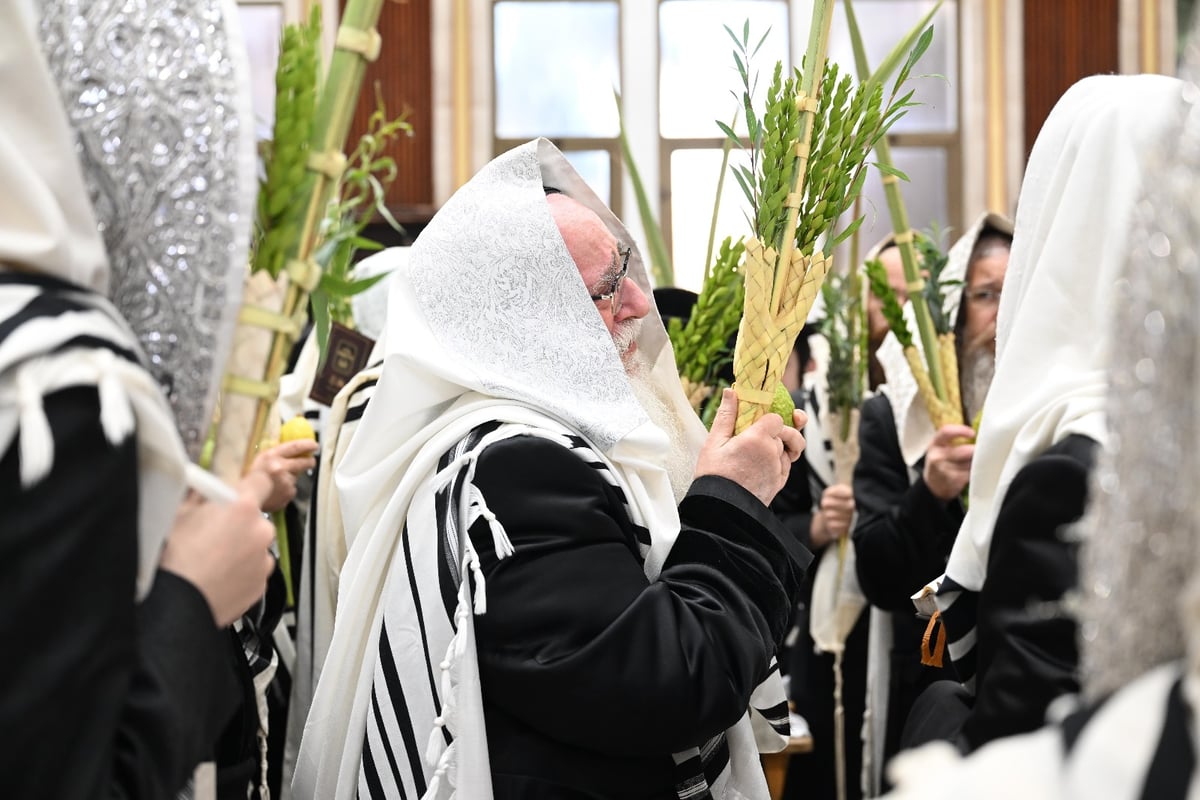 האדמו"ר מצאנז בחג הסוכות