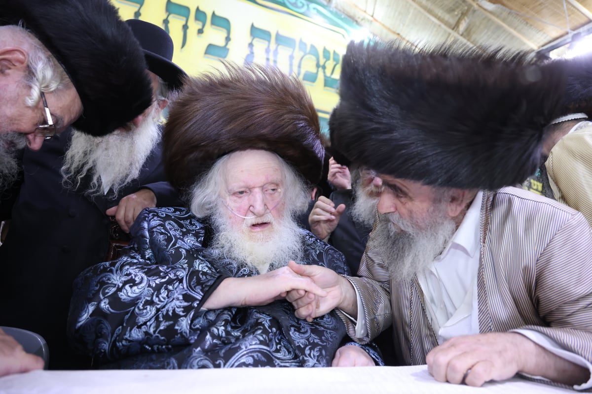 הקבלת פני רבו להגר"מ שטרנבוך - חוה"מ סוכות תשפ"ה 