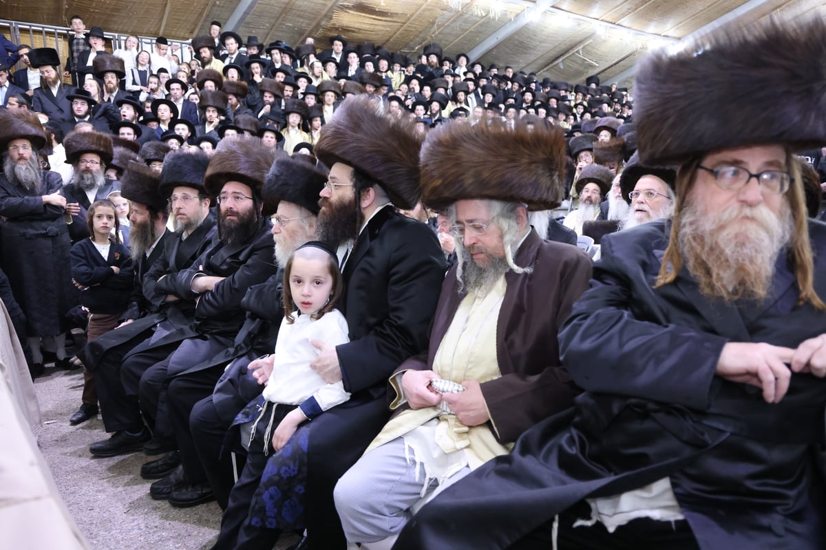 הקבלת פני רבו להגר"מ שטרנבוך - חוה"מ סוכות תשפ"ה 