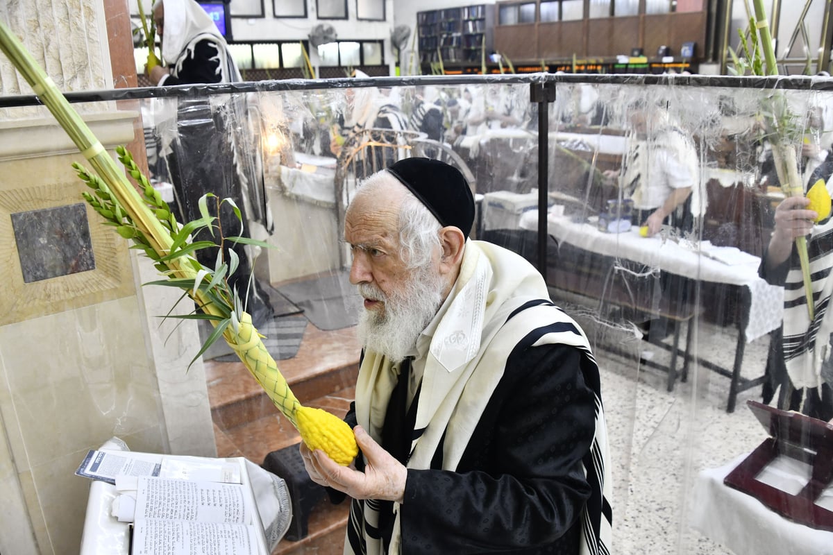 הגאון רבי יצחק זילברשטיין בנטילת לולב 