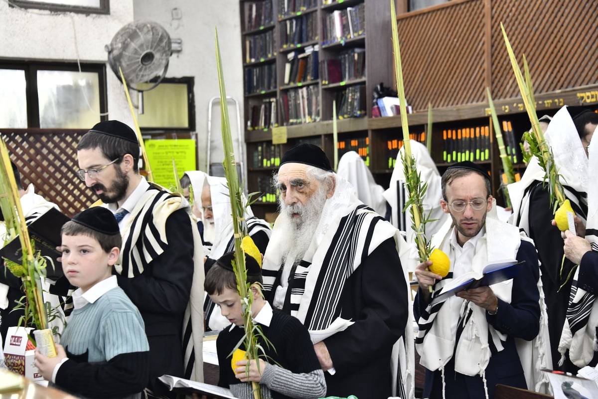 הגאון רבי יצחק זילברשטיין בנטילת לולב 