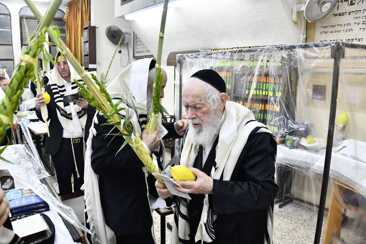 הגאון רבי יצחק זילברשטיין בנטילת לולב 