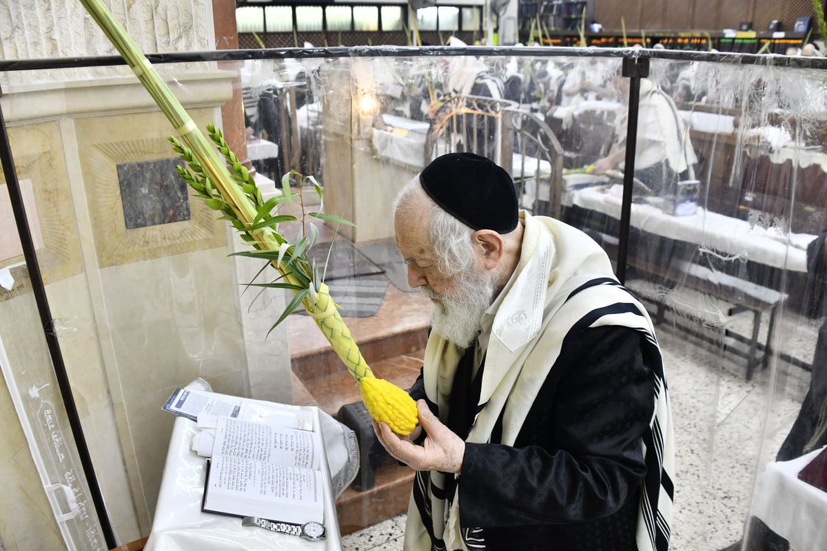 הגאון רבי יצחק זילברשטיין בנטילת לולב 