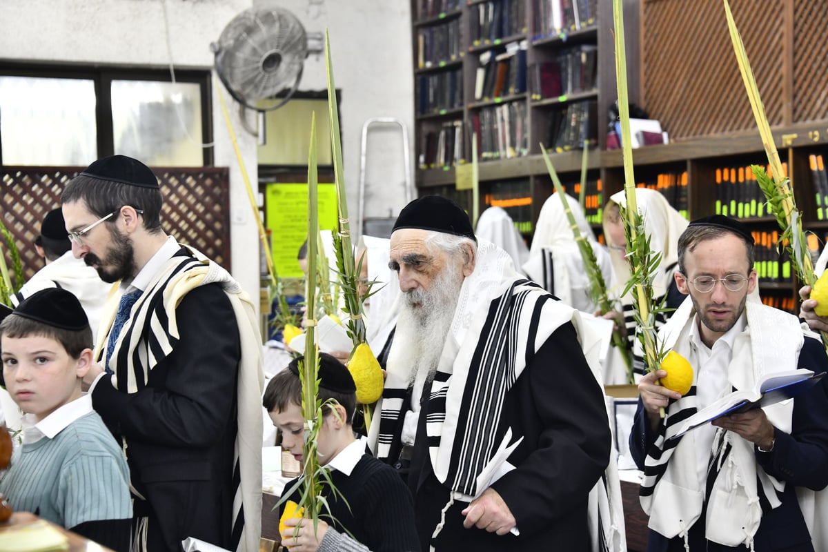 הגאון רבי יצחק זילברשטיין בנטילת לולב 