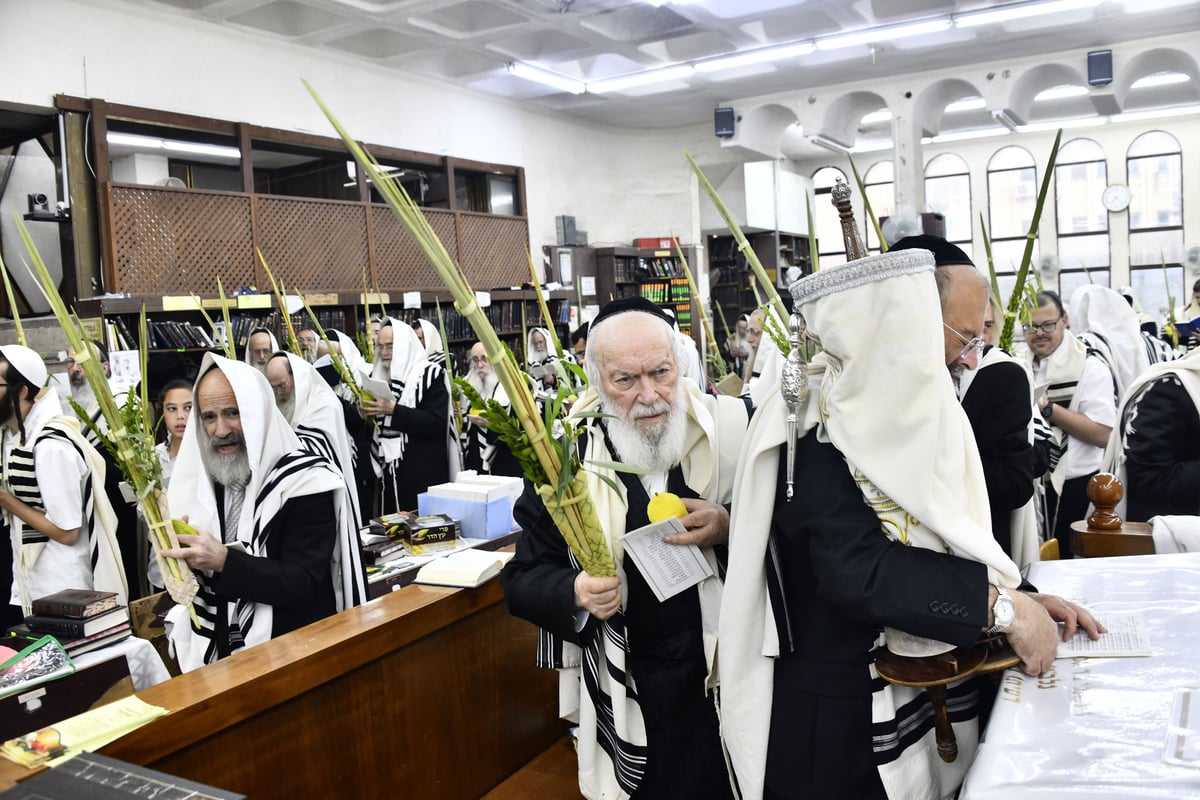 הגאון רבי יצחק זילברשטיין בנטילת לולב 