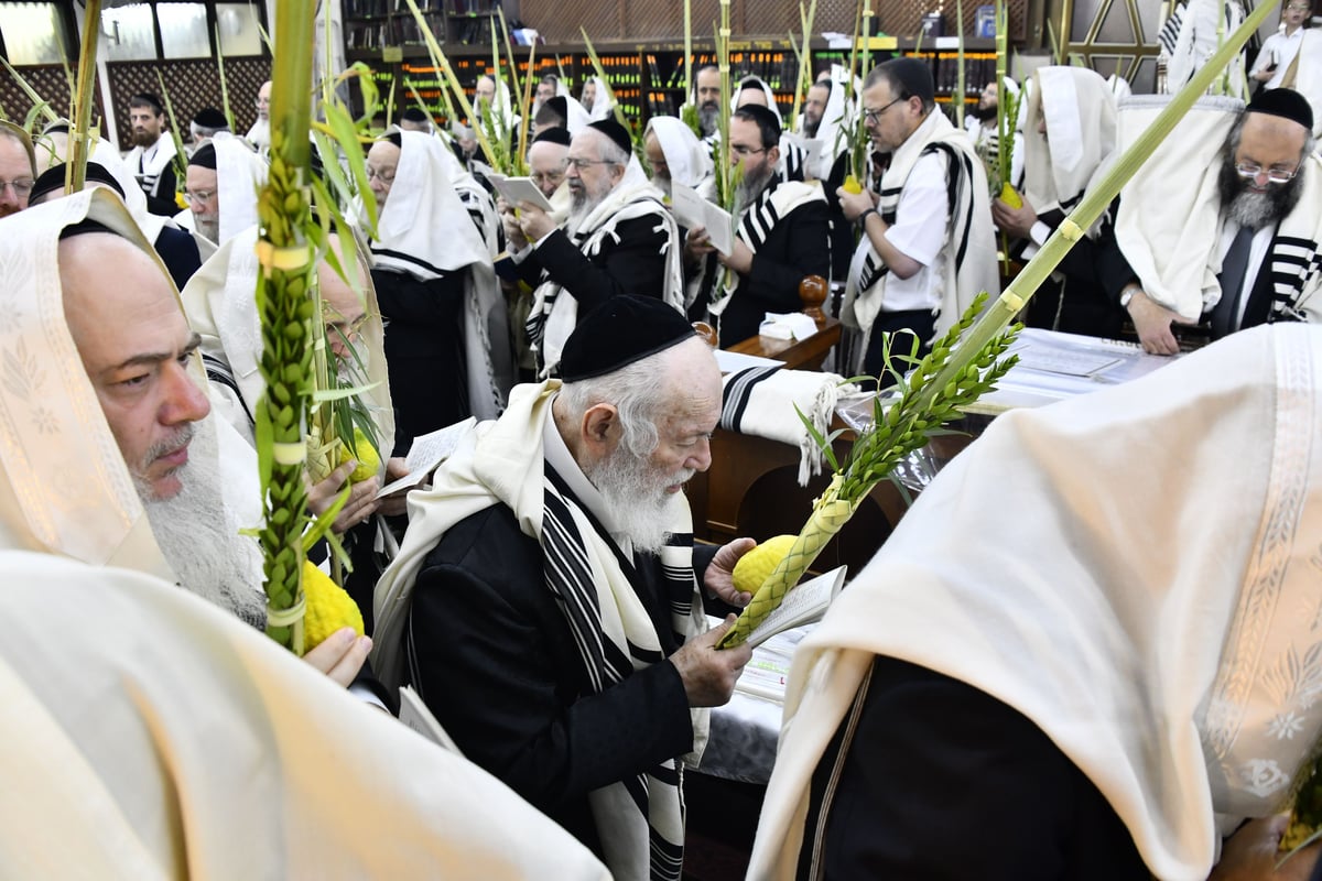 הגאון רבי יצחק זילברשטיין בנטילת לולב 