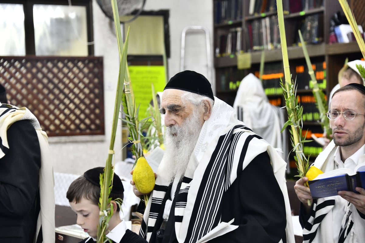 הגאון רבי יצחק זילברשטיין בנטילת לולב 