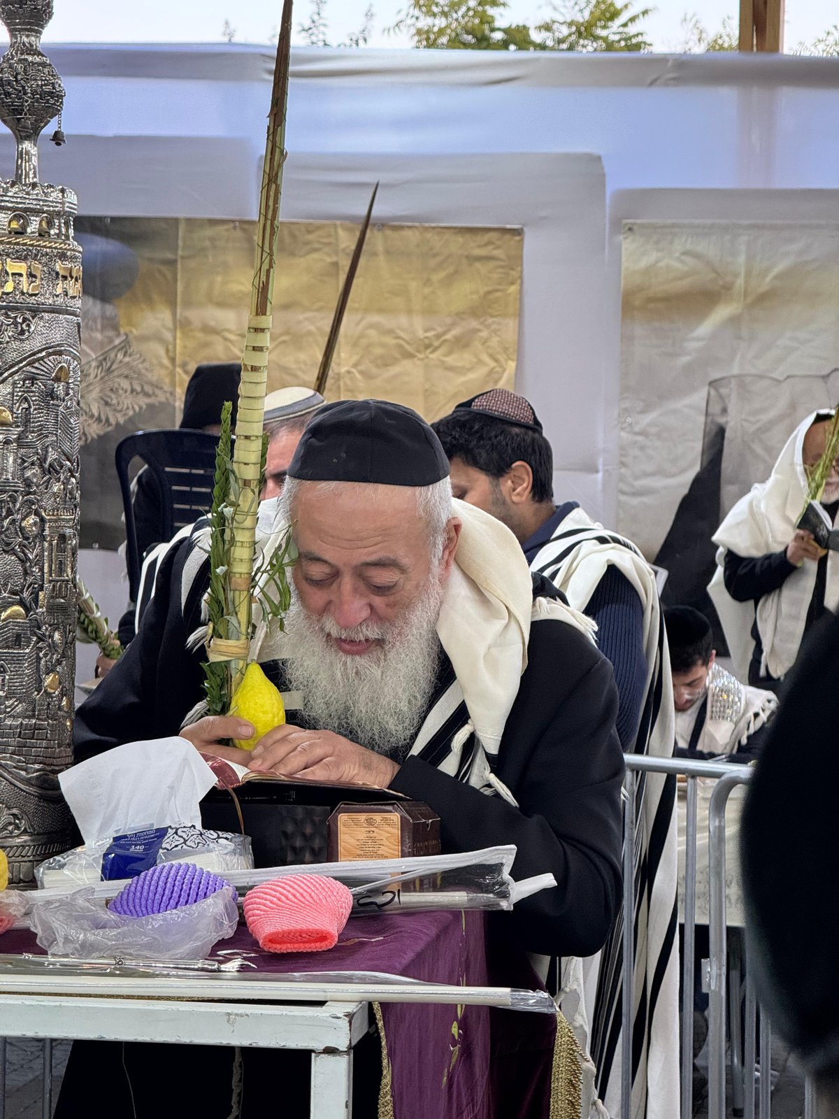 הראשל"צ הגרש"מ עמאר בהושענות וחיבוט הערבה | צפו