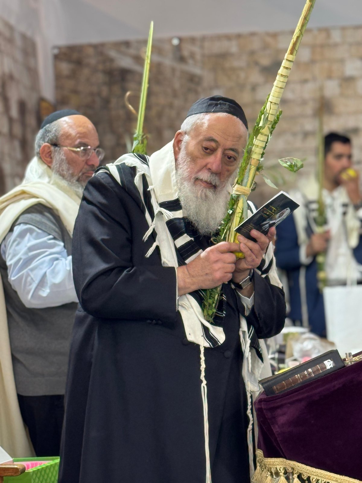 הראשל"צ הגרש"מ עמאר בהושענות וחיבוט הערבה | צפו