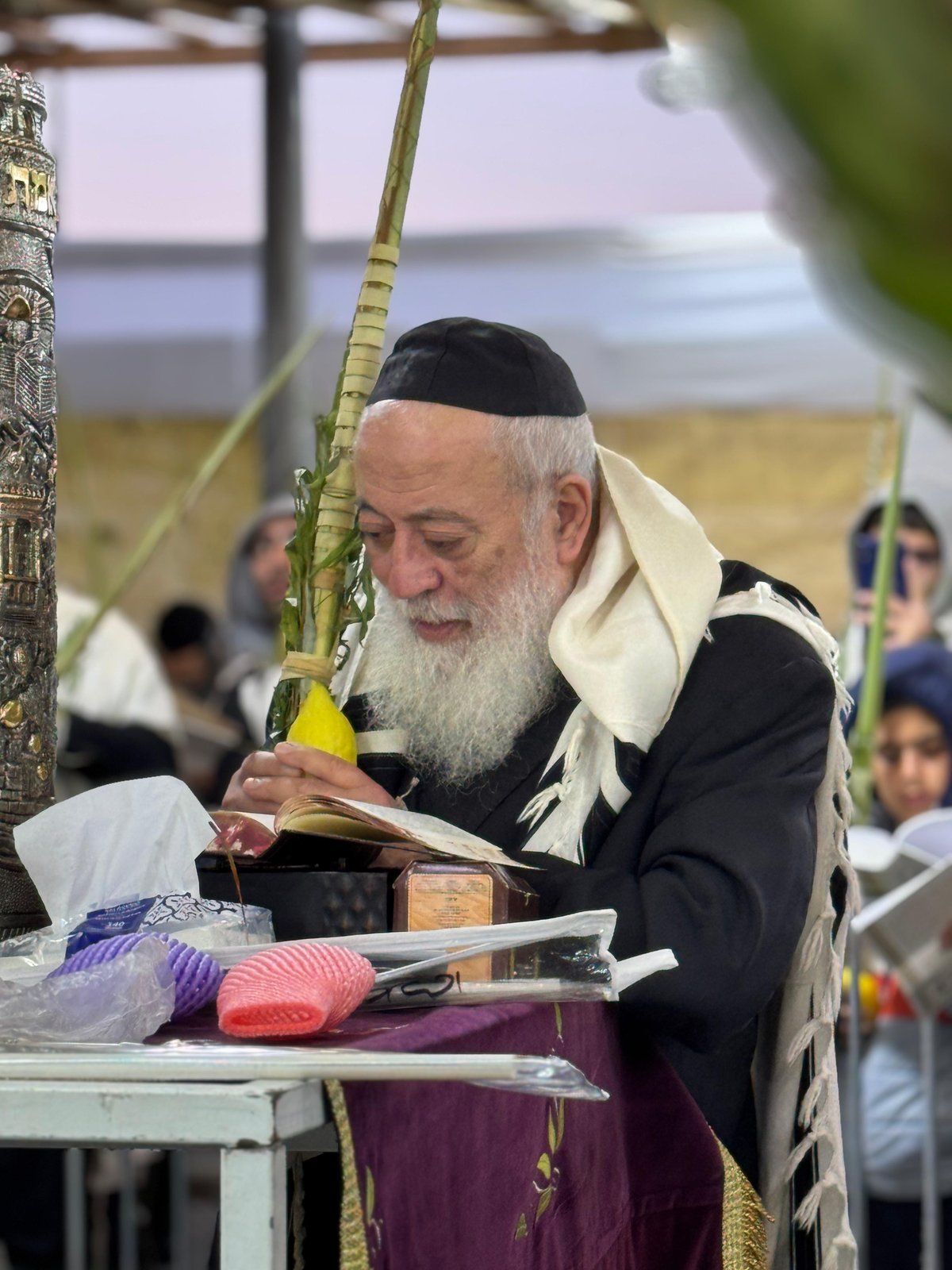 הראשל"צ הגרש"מ עמאר בהושענות וחיבוט הערבה | צפו