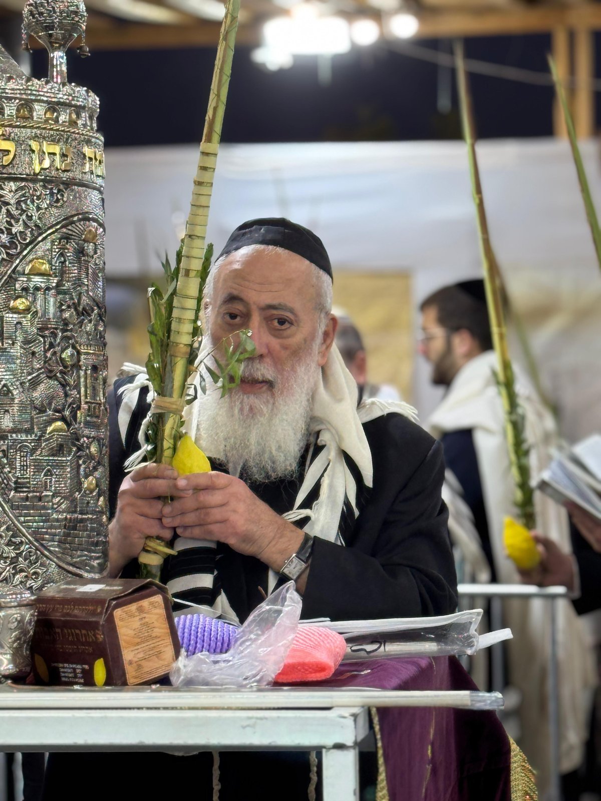 הראשל"צ הגרש"מ עמאר בהושענות וחיבוט הערבה | צפו