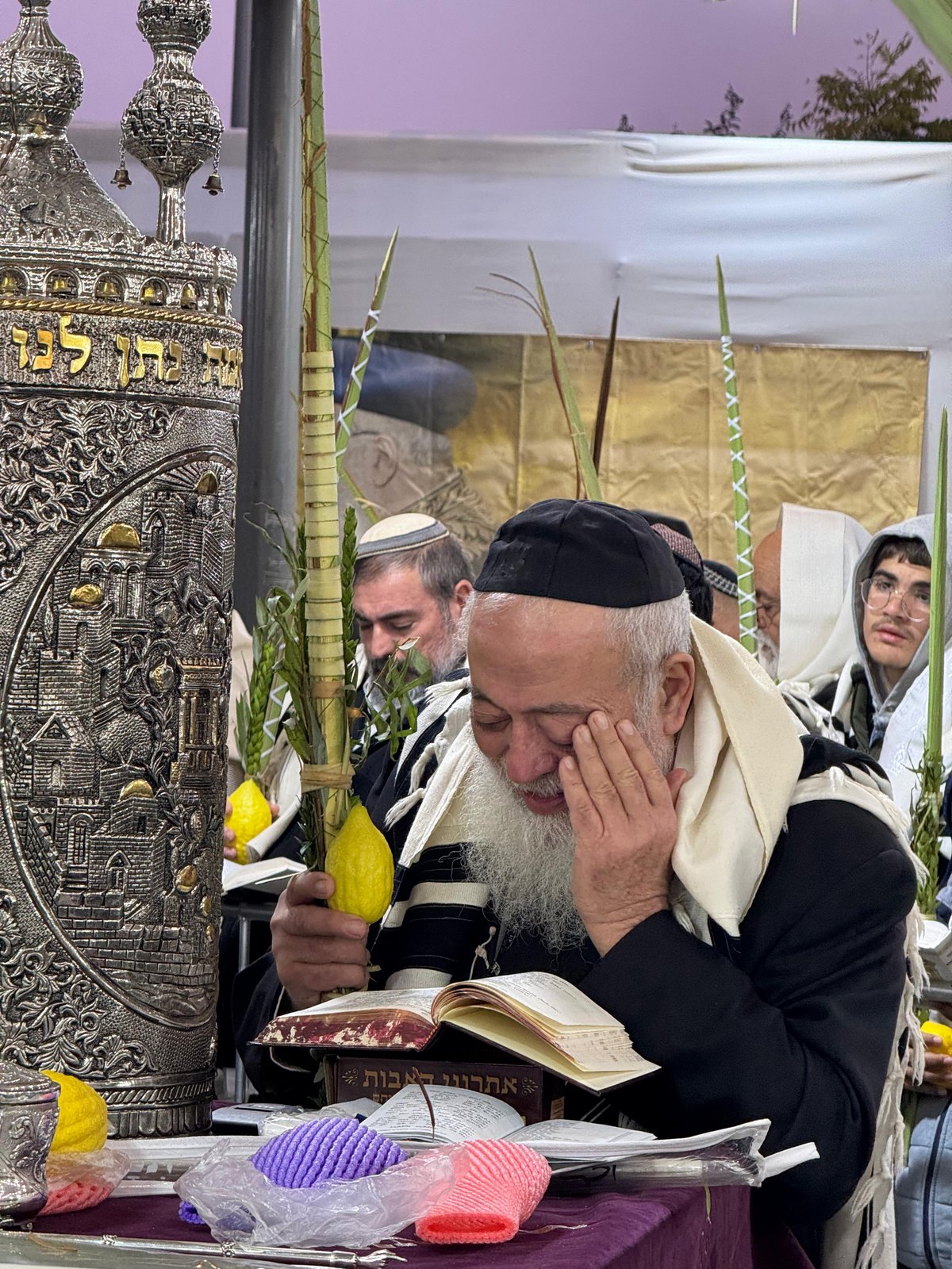 הראשל"צ הגרש"מ עמאר בהושענות וחיבוט הערבה | צפו