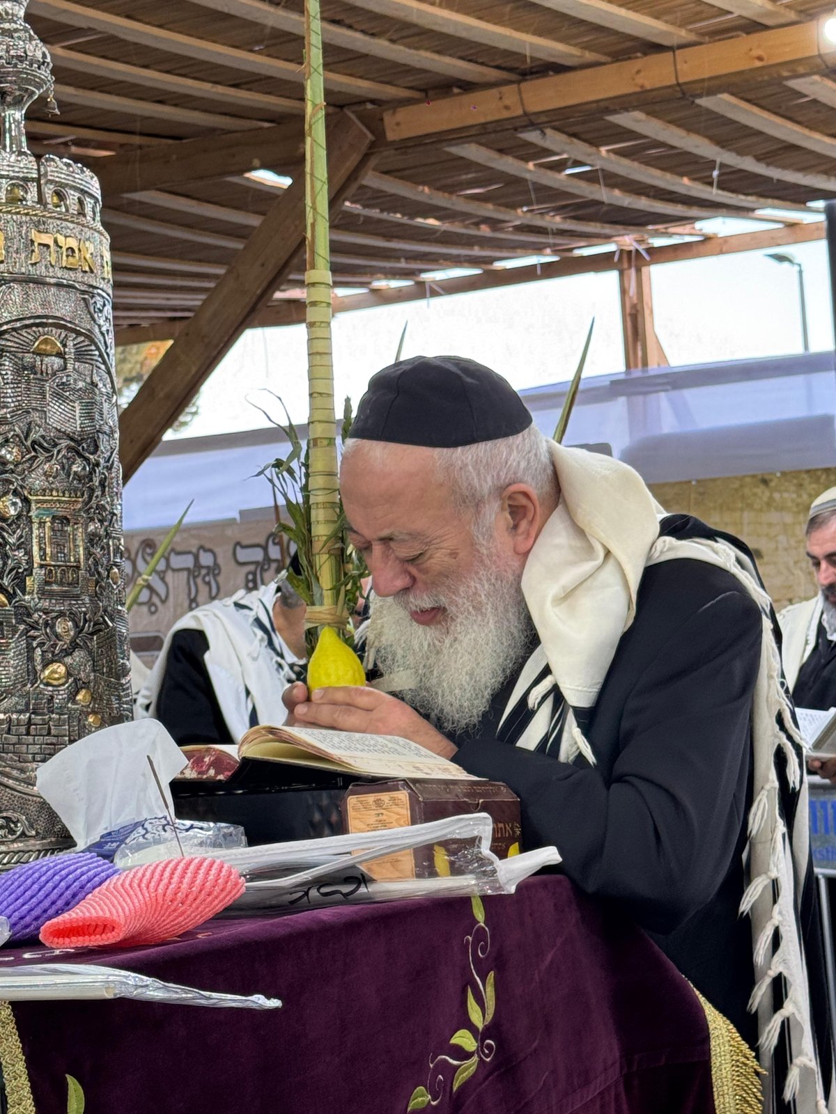 הראשל"צ הגרש"מ עמאר בהושענות וחיבוט הערבה | צפו