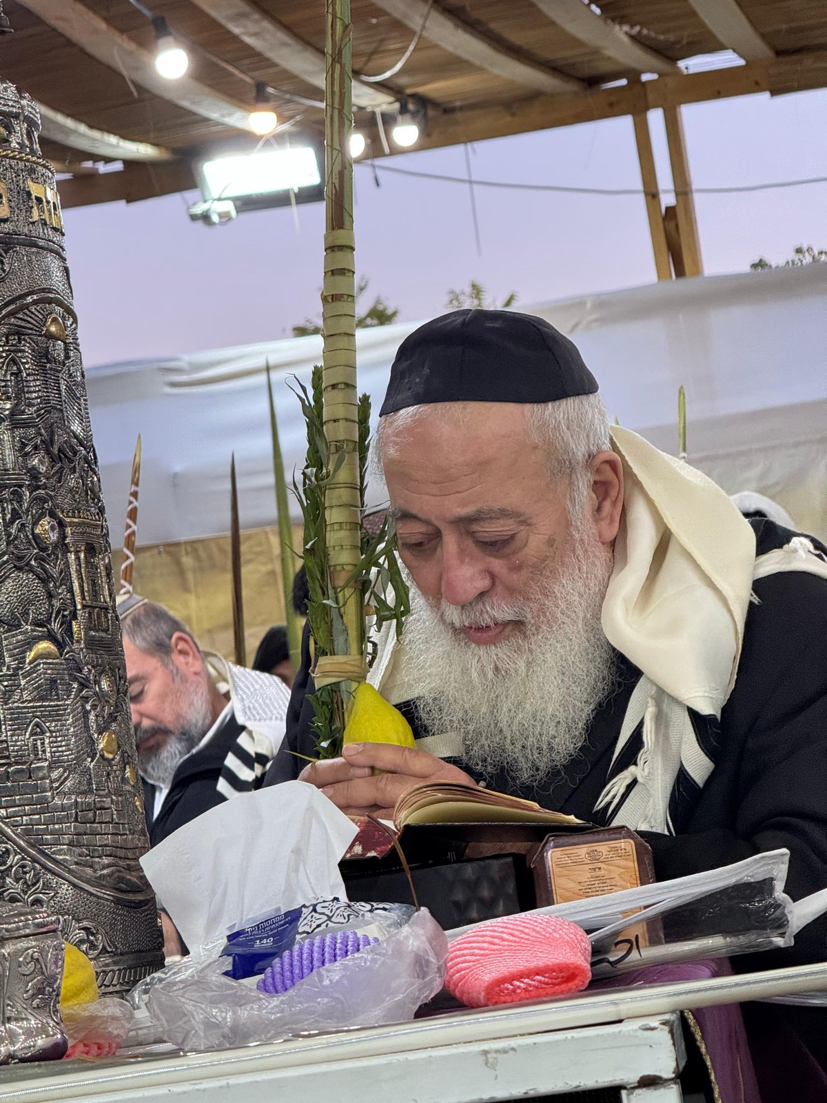 הראשל"צ הגרש"מ עמאר בהושענות וחיבוט הערבה | צפו