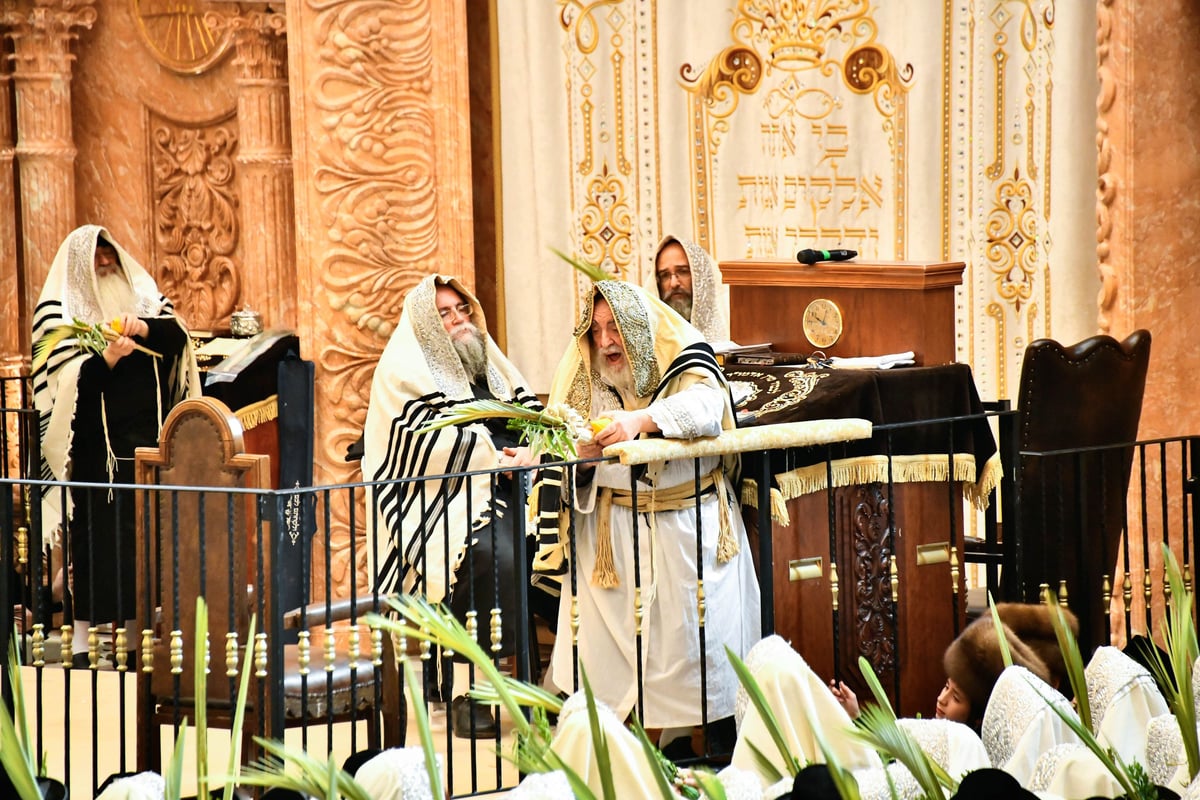 הושענא רבה בחצה"ק ויז'ניץ 