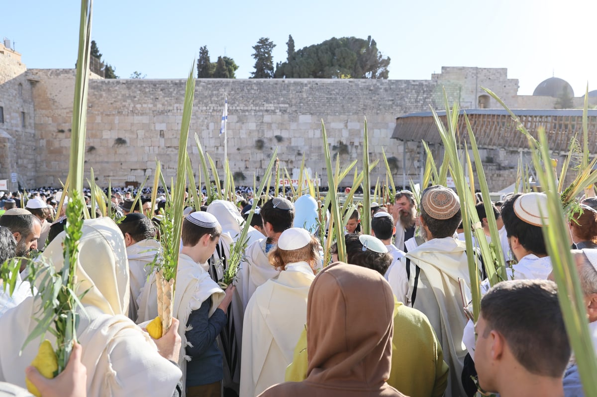 תפילת שחרית בכותל המערבי, הושענא רבה תשפ"ה