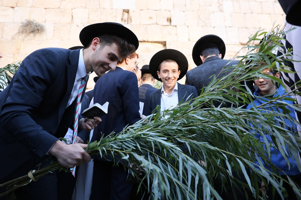 תפילת שחרית בכותל המערבי, הושענא רבה תשפ"ה