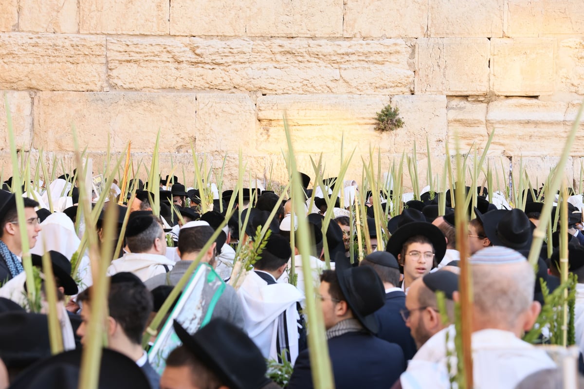 תפילת שחרית בכותל המערבי, הושענא רבה תשפ"ה