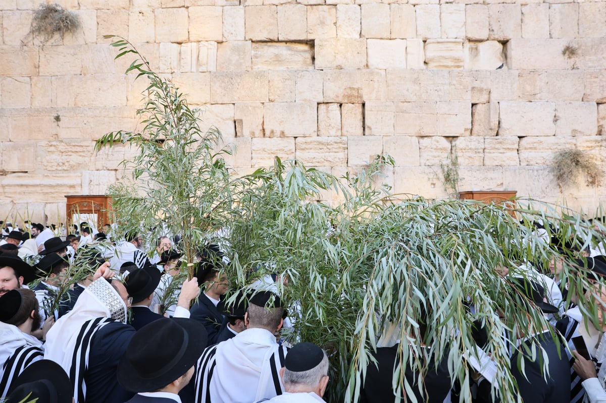 תפילת שחרית בכותל המערבי, הושענא רבה תשפ"ה