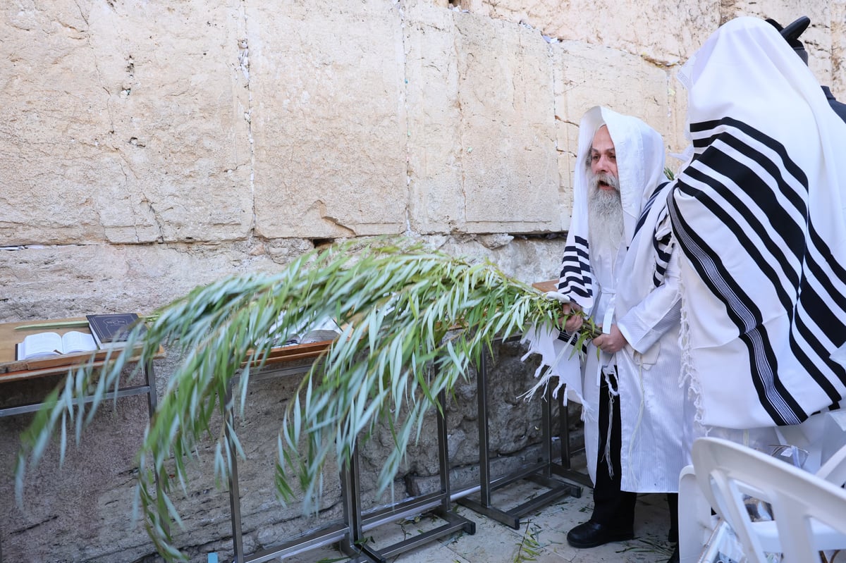 תפילת שחרית בכותל המערבי, הושענא רבה תשפ"ה