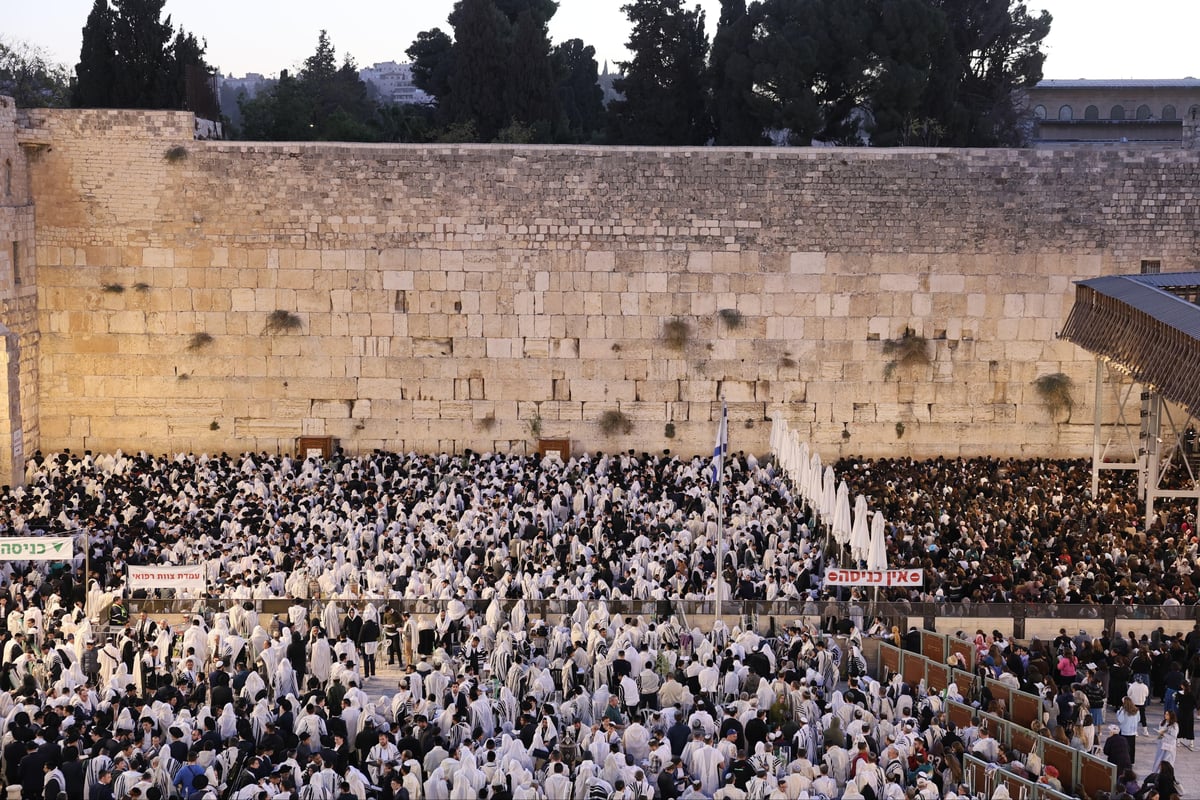 הושענא רבה בצל המלחמה: עשרות אלפים גדשו את הכותל המערבי