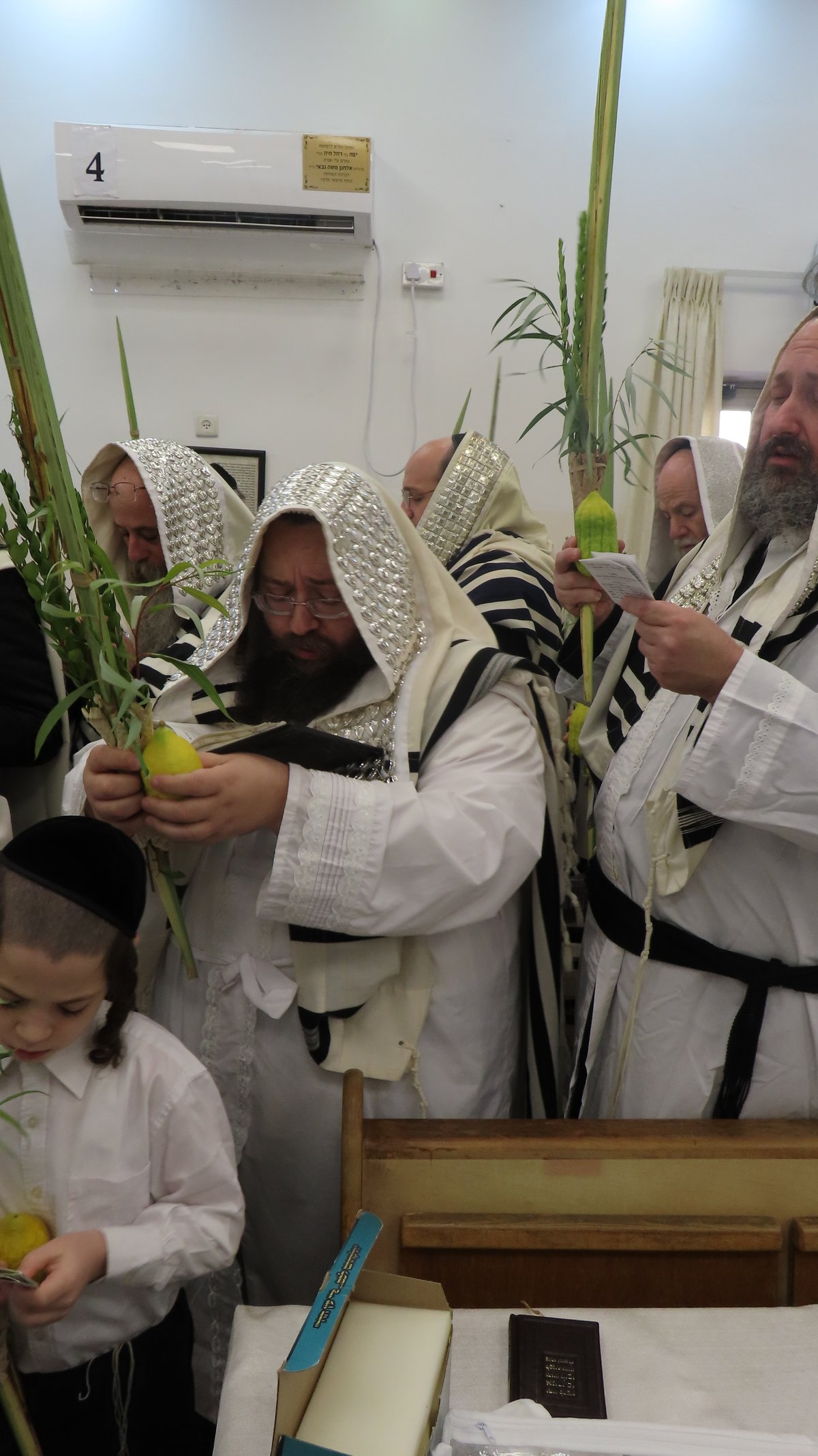 חג הסוכות ושמחת תורה בחצה"ק ז'ימגראד 