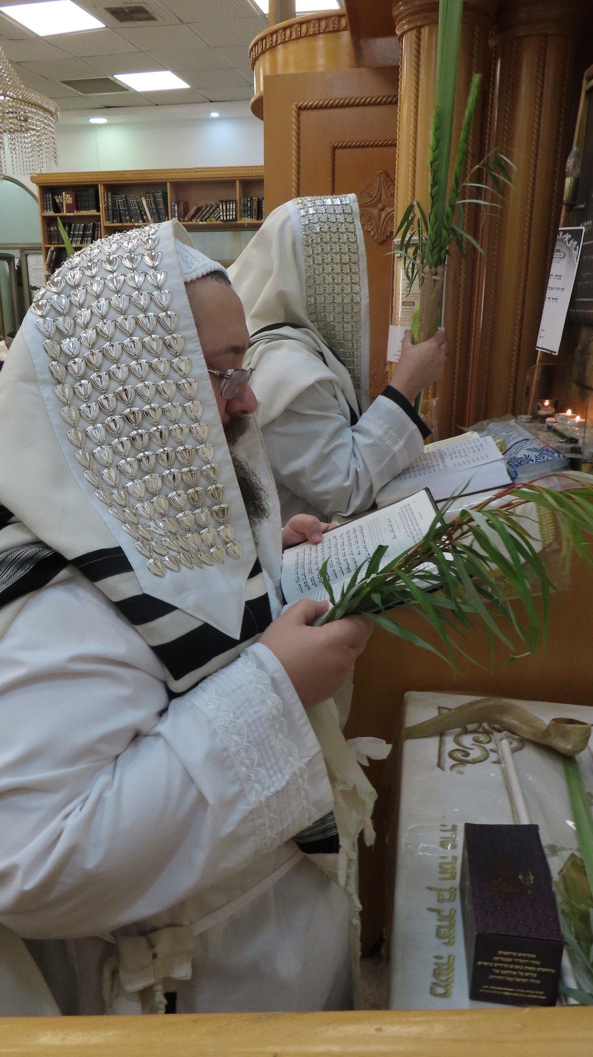 חג הסוכות ושמחת תורה בחצה"ק ז'ימגראד 