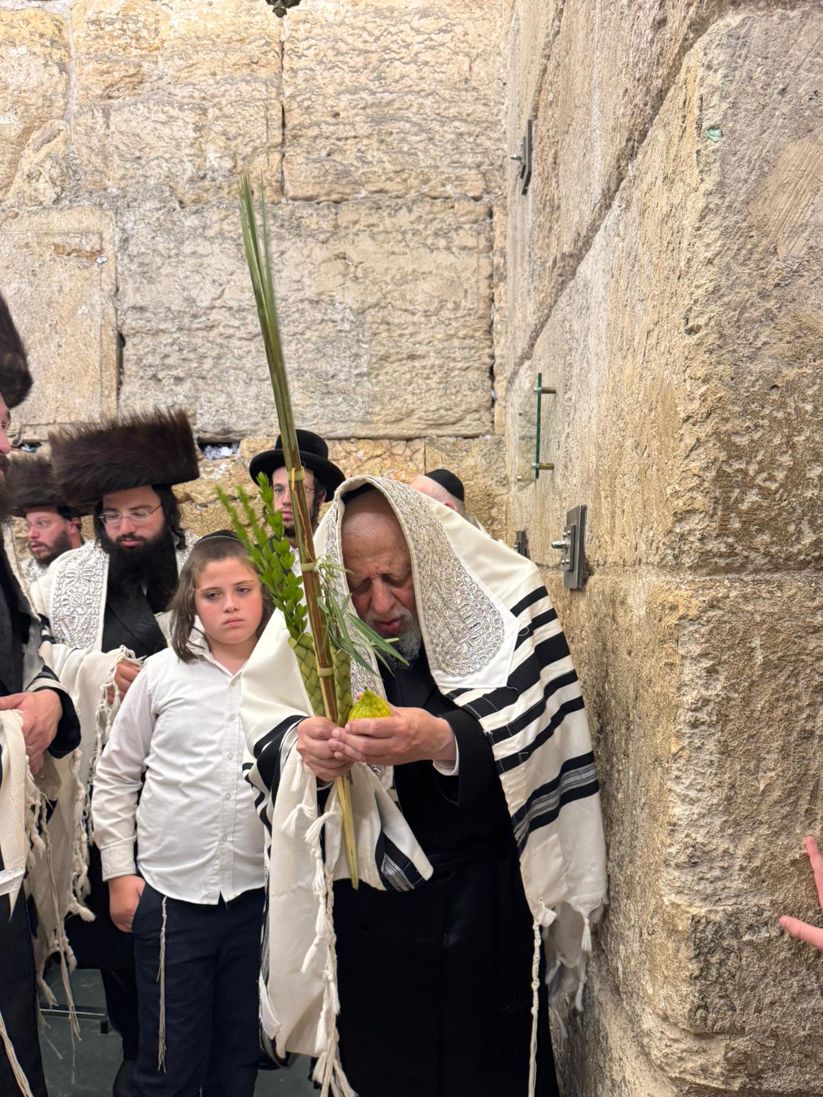 האדמו"ר מקופיטשניץ בנטילת לולב 