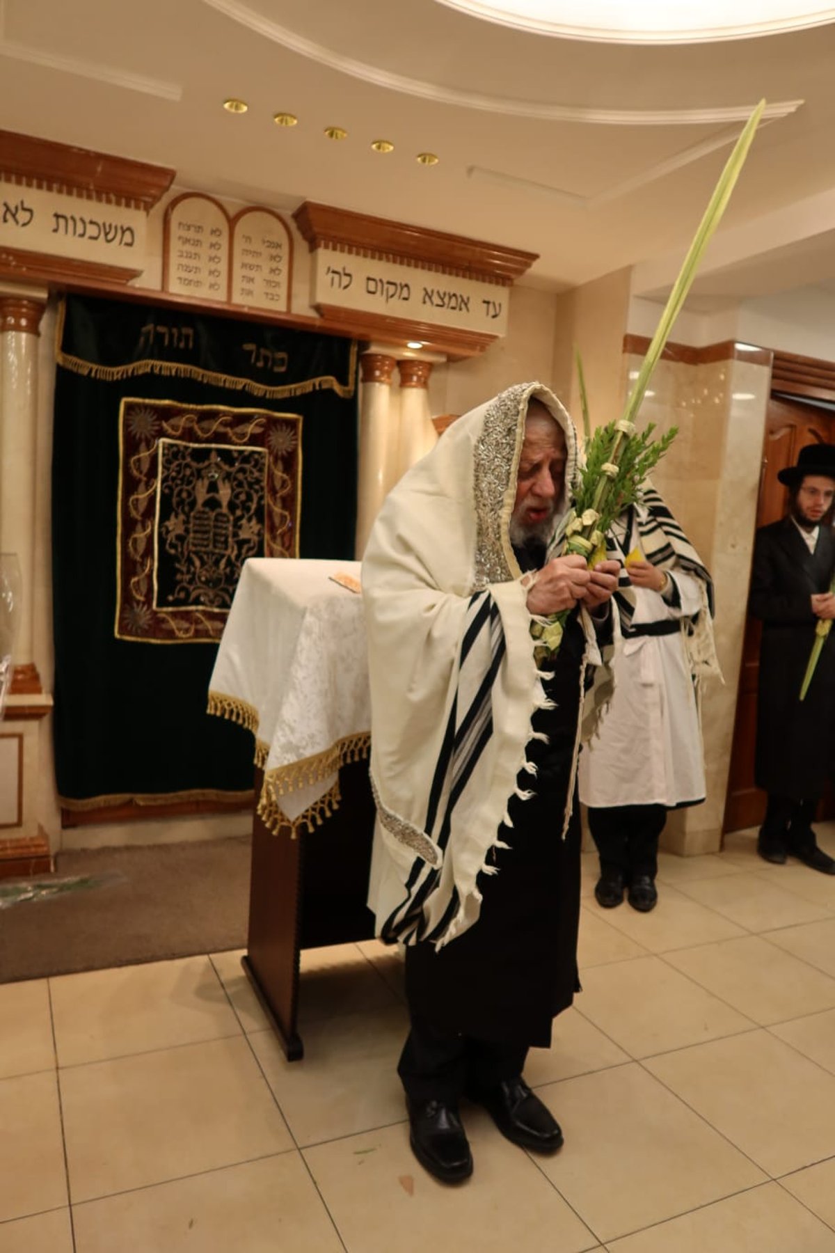 האדמו"ר מקופיטשניץ בנטילת לולב 