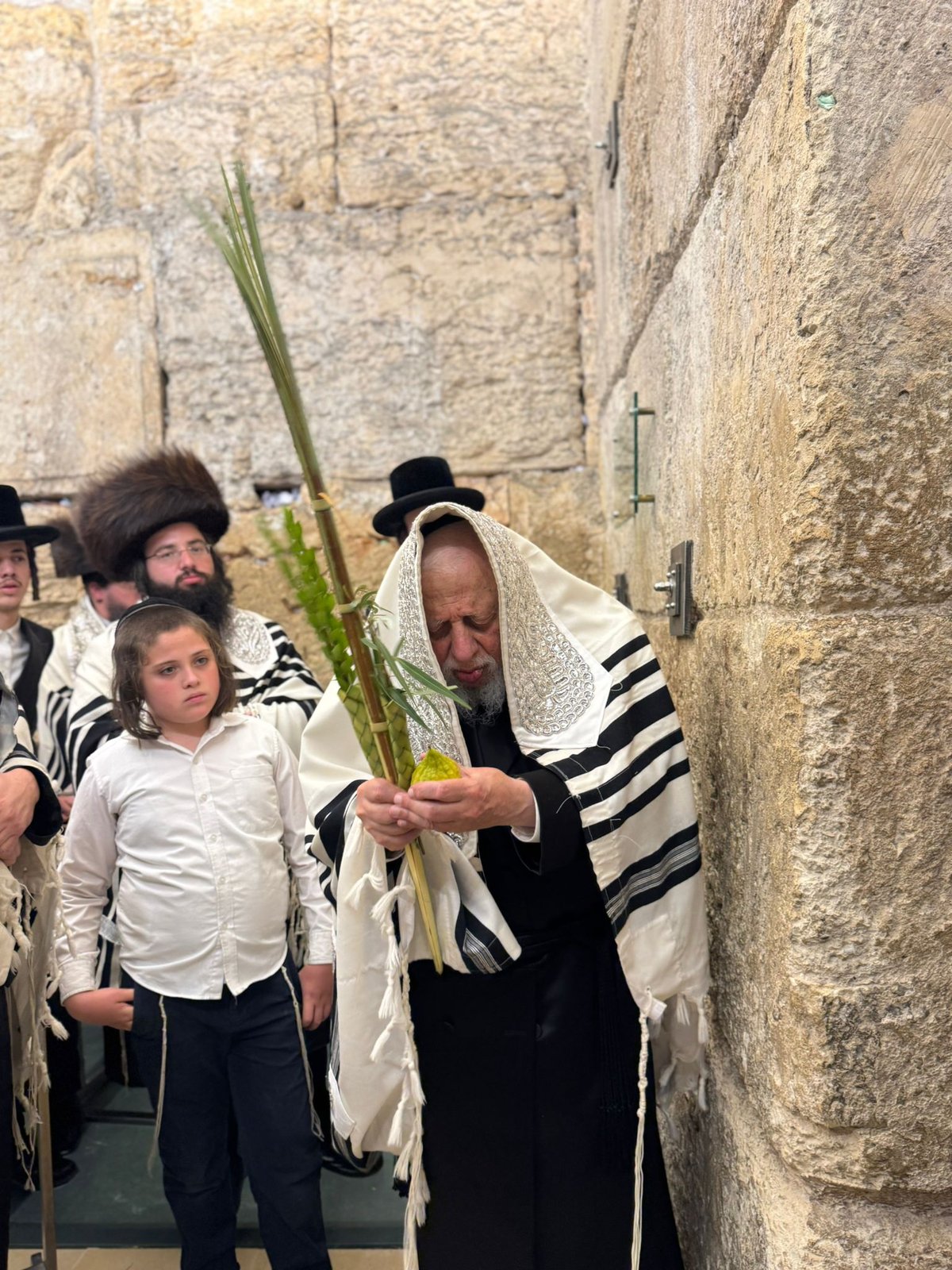 האדמו"ר מקופיטשניץ בנטילת לולב 