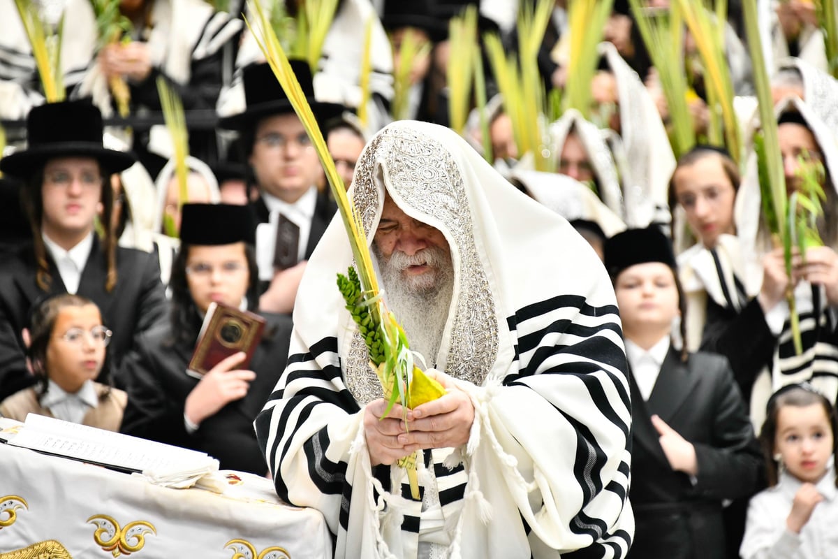 הושענא רבה בחצה"ק דארג 